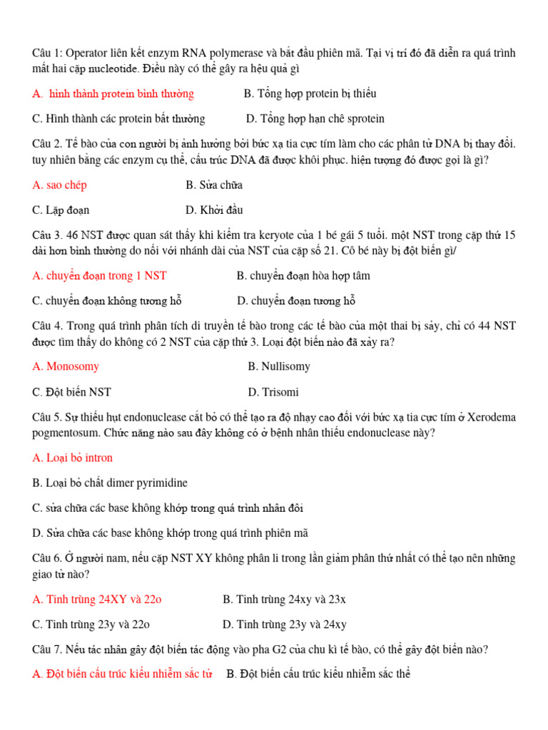 SHDT | PDF