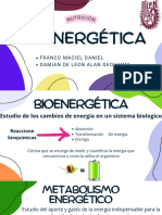 Bioenergética