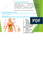 Aparato Digestivo-Circulatorio y Renal Ms 2