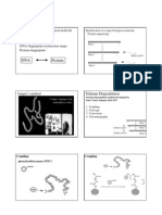 DNA Protein: DNA Sequencing Protein Sequencing DNA Fingerprint (Restriction Map) Protein Fingerprint