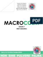 MACROCOSM GRADE 7 - 1stgrading