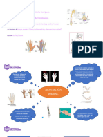 Desviacion Radial y Desviacion Cubital.