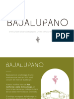 Infografía Bajalupana 1