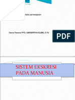 Ppt. sistem-ekresi-MARGERITHA KOLIBEL, S.PD