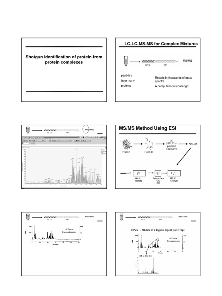 LC-LC-MS-MS For Complex Mixtures: MS/MS Method Using ESI | PDF | Mass ...