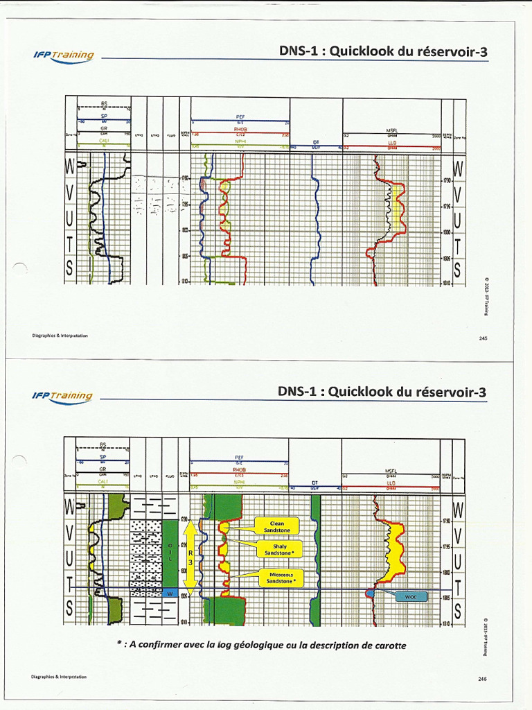 TP - 1er Grade - Petrole - Diagraphie | PDF