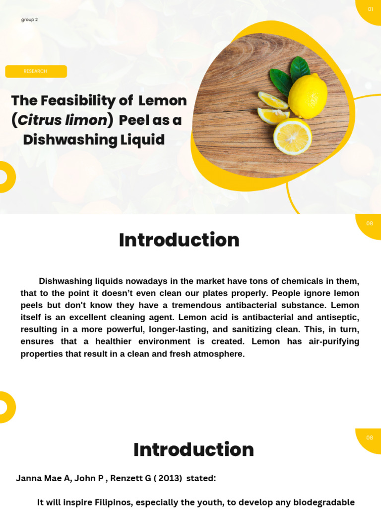 Research Group 2 | PDF | Foam | Lemon