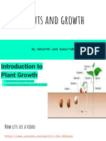 Plant and Growth