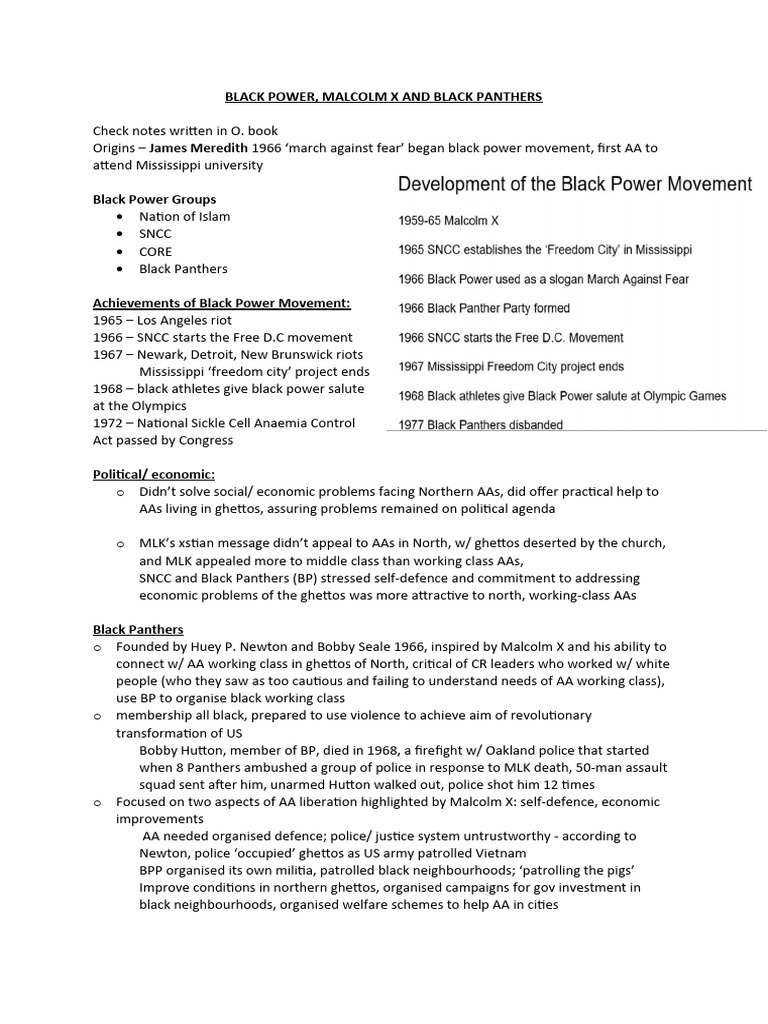 Black Power Revis Download Free Pdf Black Panther Party Black Power