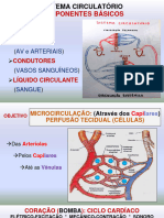 Biofísica Da Circulação-2023-CicloCardíaco - 231113 - 082216