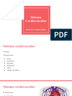 Sistema Cardiovascular