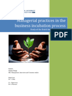 Managerial Practices in The Business Incubation P-Wageningen University and Research 199816