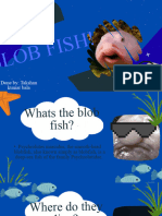 Facts Anout Blob Fishs