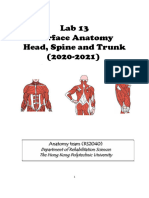 (2021) Handout For Surface Anatomy - Head - Spine - Trunk