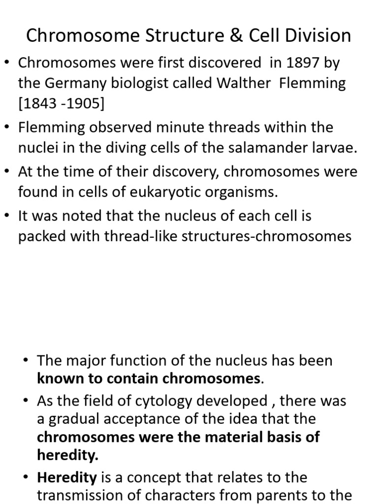 Chromosome Structure & Cell Division | PDF