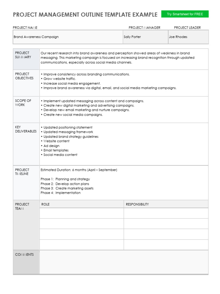 IC Project Management Outline Example 11813 PDF | PDF