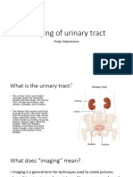 Imaging of Urinary Tract