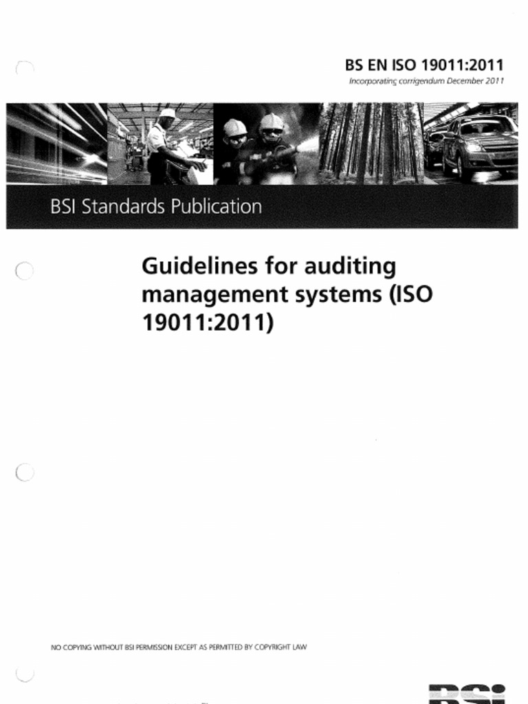 ISO 19011 GUIDELINES FOR AUDITING MANAGEMENT SYSTEMS PDF visual data 7