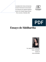 Ensayo de Siddhartha, Kattie Zuleta