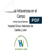 Anestesia Intravenosa en El Campo
