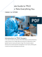 The Ultimate Guide To TPLO Surgery For Pets - Everything You Need To Know