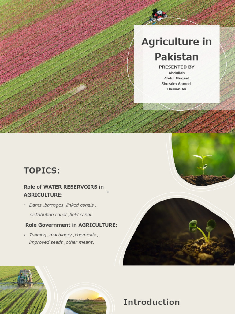 Agriculture in Pakistan | PDF | Agriculture | Irrigation