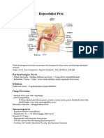 Rangkuman Reproduksi Pria