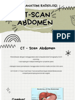 CT Scan Abdomen