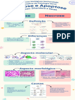 Infografico Pat.