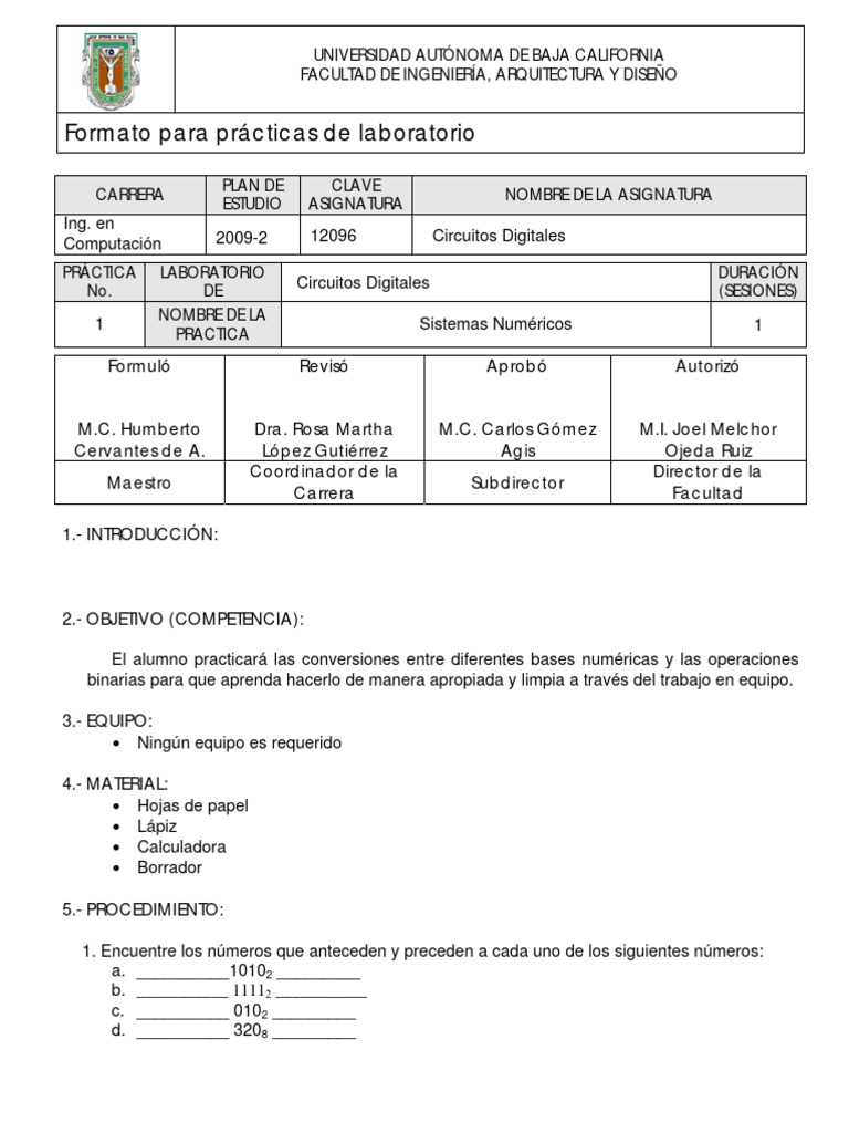 Formato Practica 1 | PDF