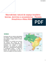 Geopoltica Brasileira PRF Material 03