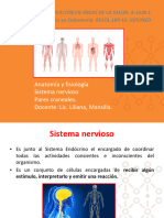 Sistema Nervioso.anatomía y Fisiología. 2023[1]