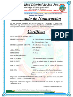 Certificado de Numeracion Rosa