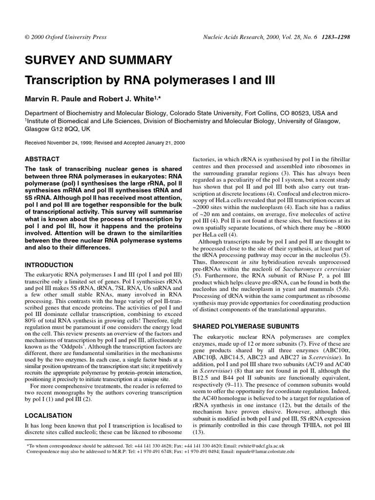 RNA Polymerases I and III Transcription Overview | PDF | Promoter ...