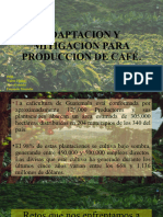 Adaptacion y Mitigacion Del Cambio Climatico en El Sector Cafe