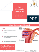 Ciclo Menstrual y Fecundación