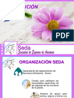 Constitucion Seda Bueno