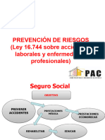 Inducción Prevención de Riesgos 2015 Pac