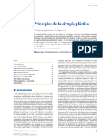 Principios de La Cirugia Plastica