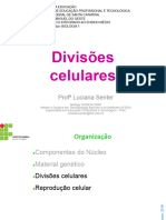 Pluginfile - Php877588mod Resourcecontent10aula 5 Ciclo e Divisões Celulares-Gravação PDF