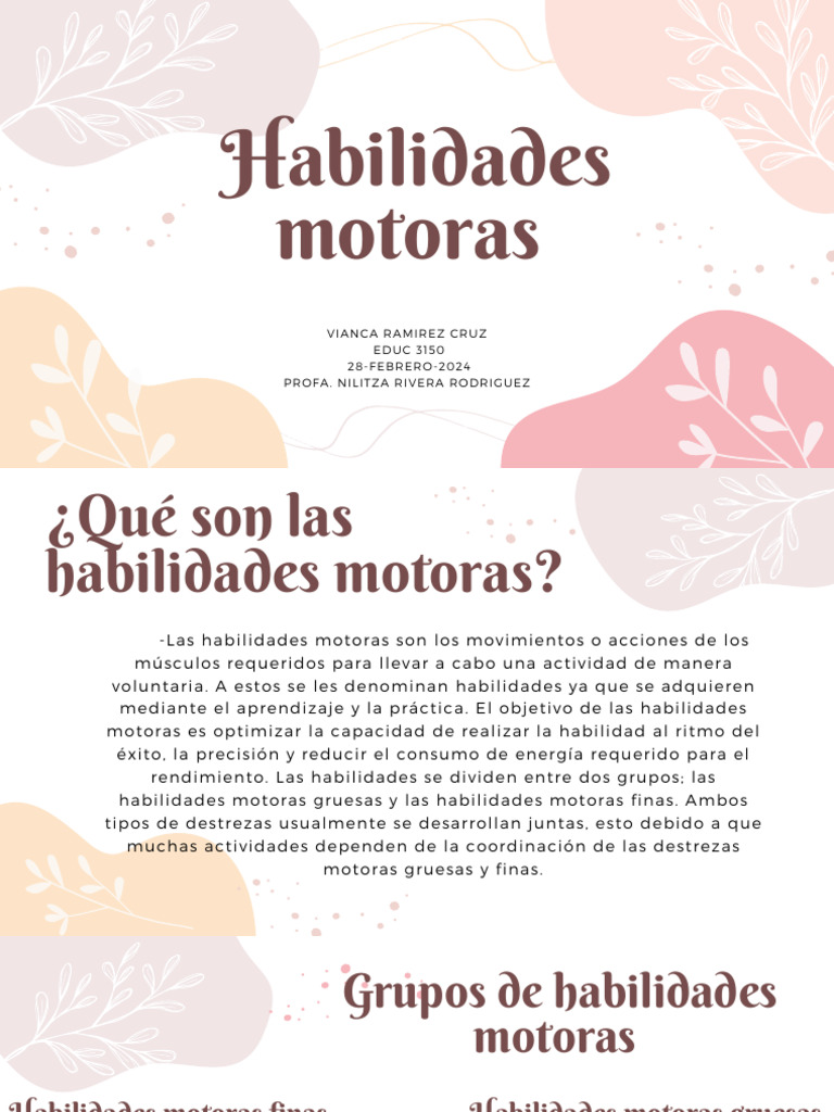 Habilidades motoras | PDF