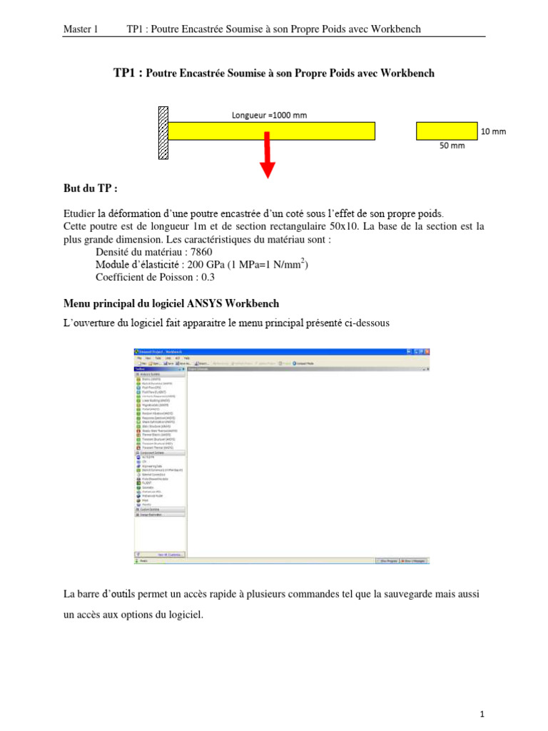 Poutre Encastrée Soumise À Son Propre Poids Avec Workbench | PDF ...