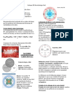 Caries Dental Microbiología