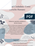 Seguridad Ciudadana Como Derecho Humano