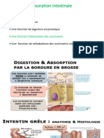 Suite Cours Physiologie Digestive Nov22