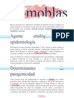 Micosis Subcutaneas (Cromoblastomicosis, Esporotricosis y Micetomas)