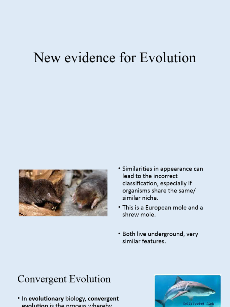 13.1.4 New Evidence For Evolution 2 | PDF | Evolution | Dna Sequencing