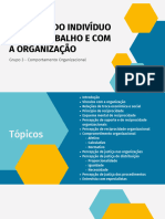 Vínculos Do Indivíduo Com o Trabalho e Com A Organização