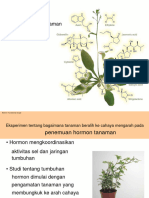 Plant Hormones Auxin, Giberelin, Sitokoinin, Etilen, Asam Absisat