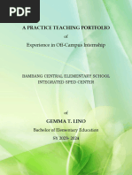 Sample Practice Teaching Portfolio